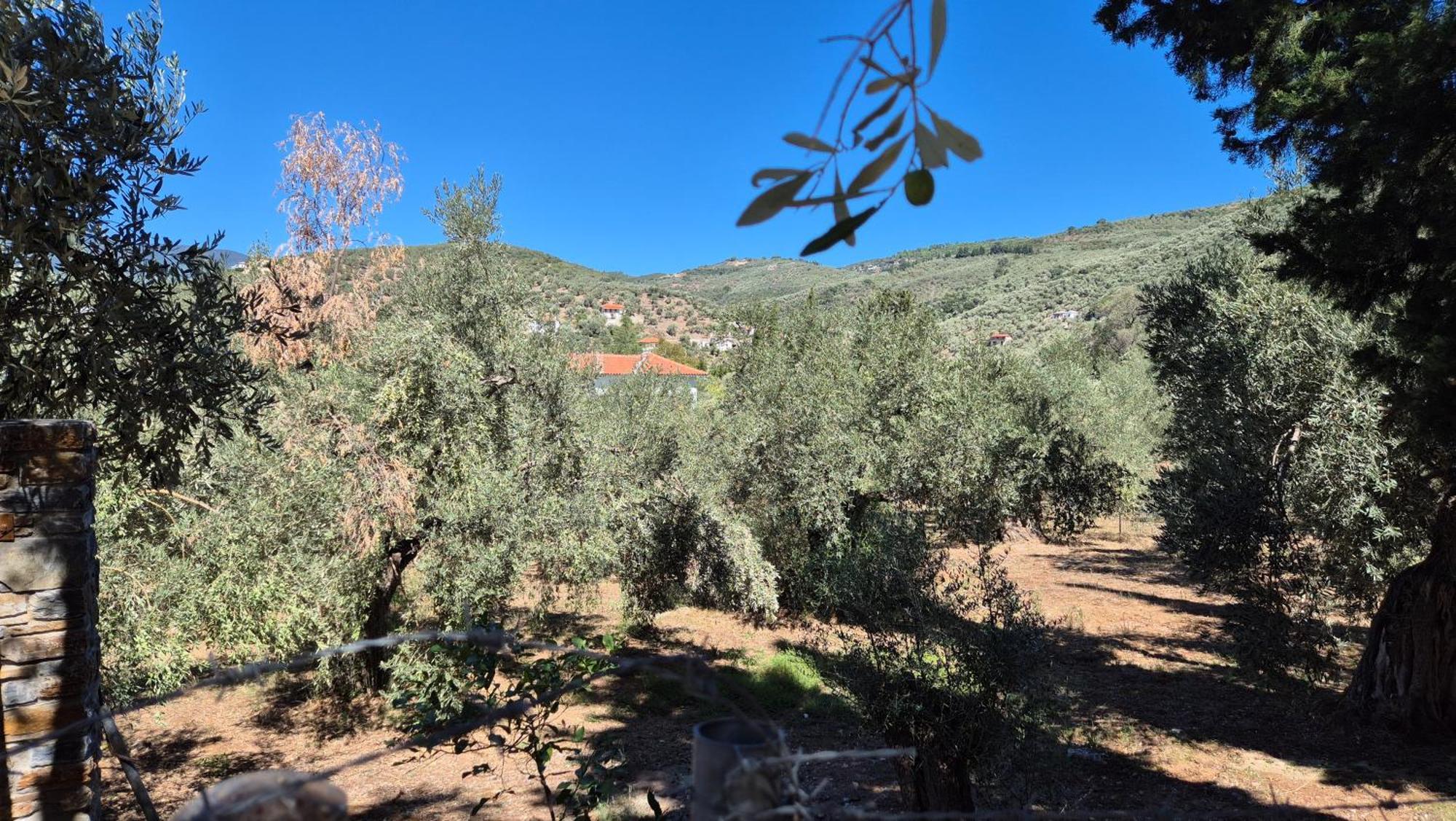Villas On The Rock أفيسوس المظهر الخارجي الصورة